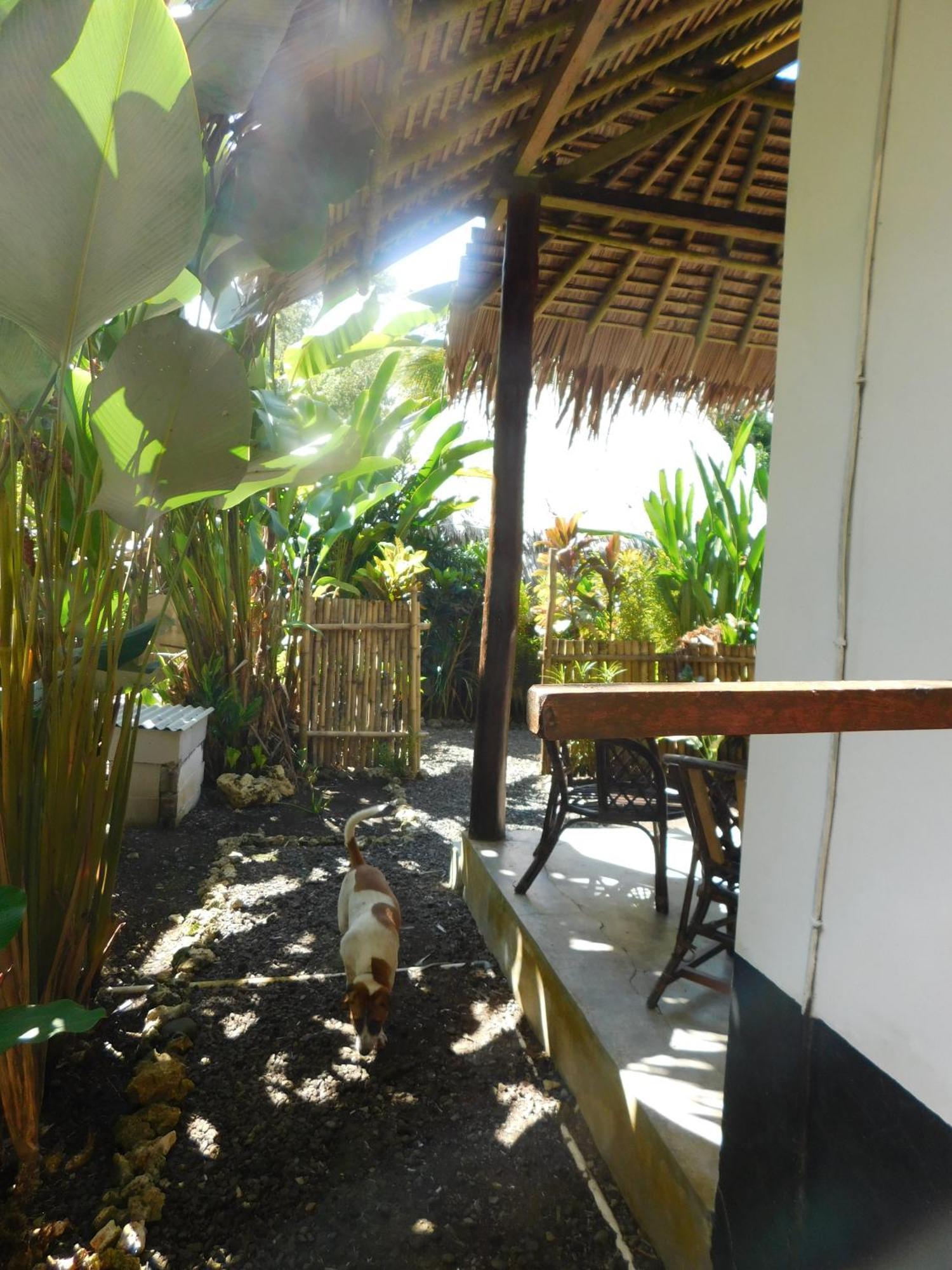Rnv Eco Resort Bungalows Batukaras Exterior photo